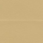 Tapis Ultraleather 3851 Chamois