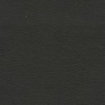 Tapis Ultraleather 5607 Raven Wing