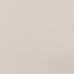 Snowdrift