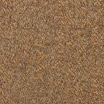 Vicuna